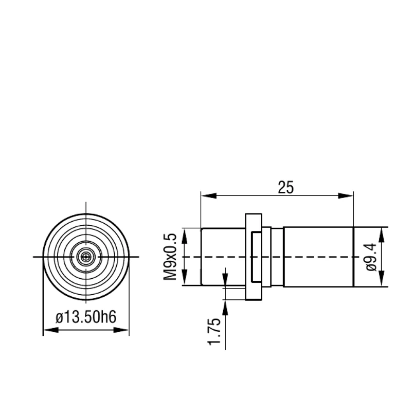 Complete dimensioned front and side views: Ø13.50h6, 25 mm length, M9×0.5, Ø9.4 and 1.75 mm; the third view is shown separately.